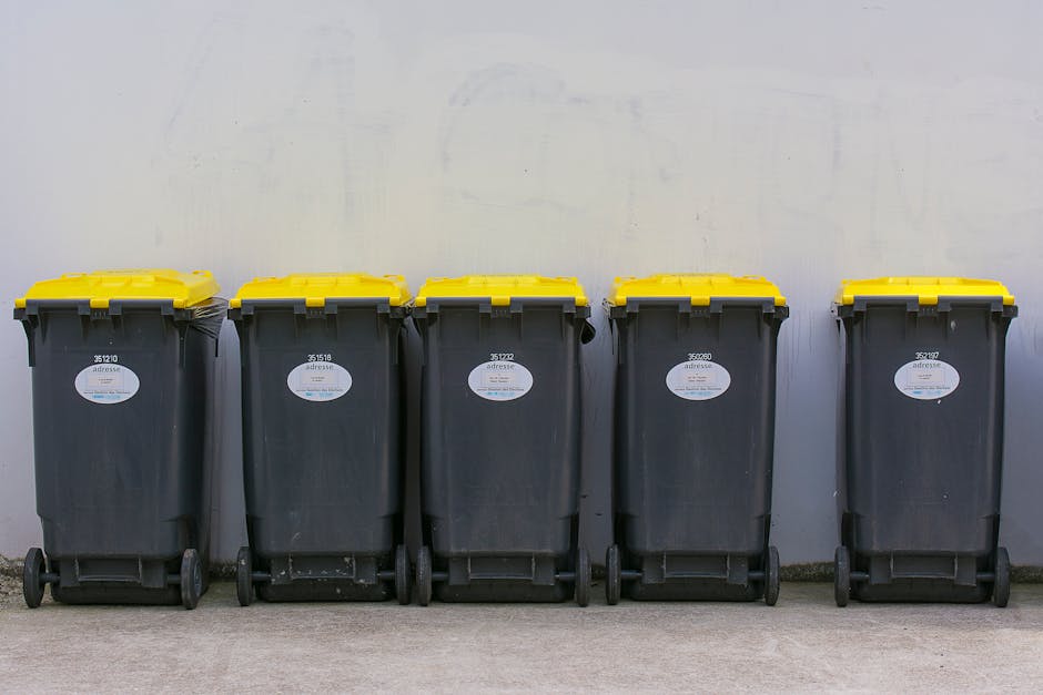 https://rubbishremovalhammersmith.com/blog/w6-council-permit-what-to-know-for-skip-hire-and-rubbish-removal/